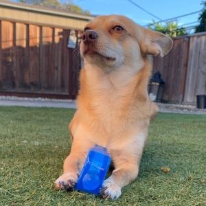 Meet your Posher, Raul